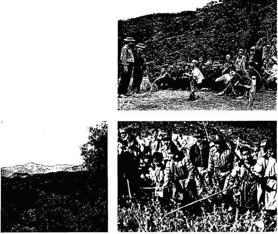 Sugar refineries and cattle stock were destroyed in order to prevent smuggling.