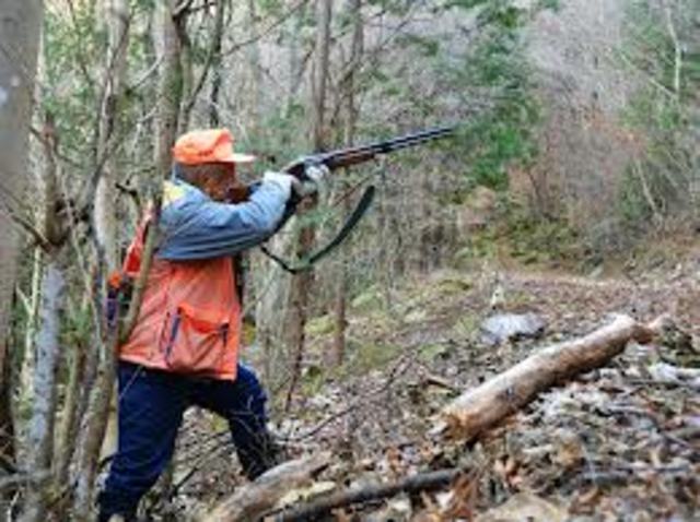 John Wilson killed his wife