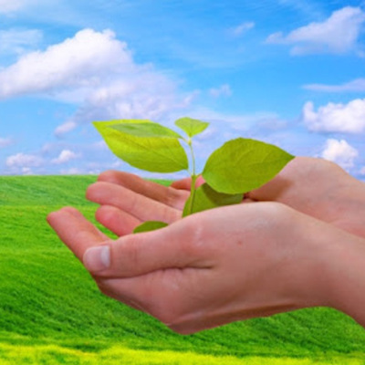 Timeline: Principales Antecedentes Internacionales y Nacionales de la Educación Ambiental y el Desarrollo Sustentable