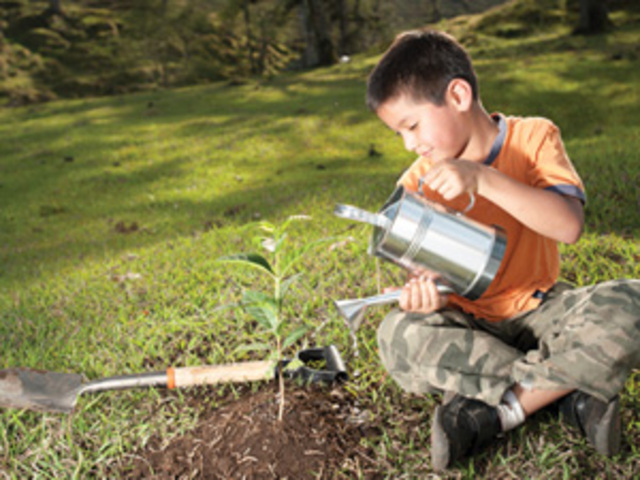 Creación de la primera Dirección de Educación Ambiental dependiente de la Sedue (México)