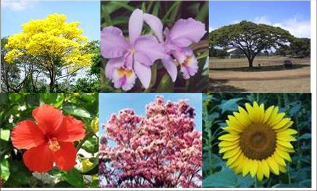 Congreso Internacional UNESCO-PNUMA sobre Educación y Formación Ambiental (Moscú, Rusia).