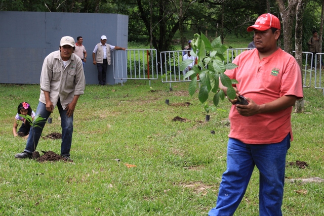 Se crea la Dirección General de Educación Ambiental