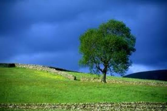 La Comisión de Ecología y Medio ambiente de la LVII Legislatura de la Cámara de Diputados, solicitó la reforma al articulo 39 de la LGEEPA, que fue aprobada en noviembre de 1999 (México)