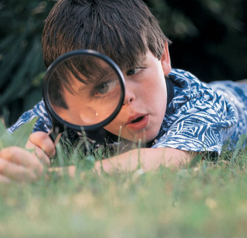 13a Conferencia de la NAAEE (Asociación Norteamericana de Educación Ambiental) (Cancún, México)