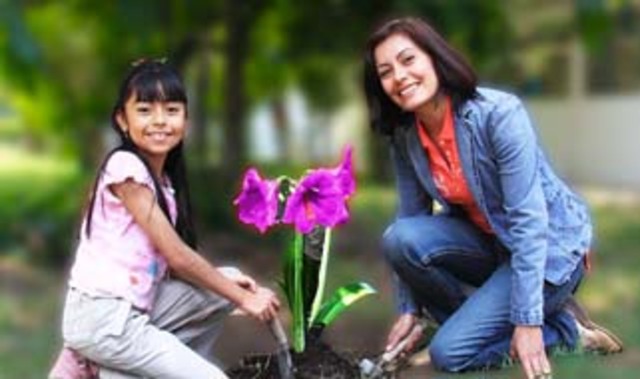 2º Congreso Iberoamericano de Educación Ambiental (Guadalajara, Jalisco)