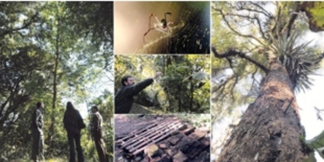 Creación de la primera Dirección de Educación Ambiental dependiente de la Sedue. (Mexico)