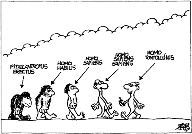 INICIO DE LA LOGISTICA