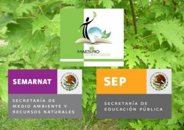 Decreto de instrucción a la Secretaría de Educación Pública