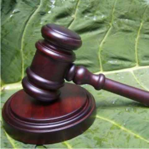 Decreto No. 46 de la LI Legislatura del Estado de mexico