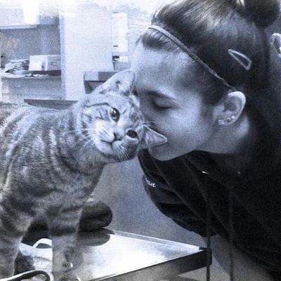 Timeline: My summer 2013