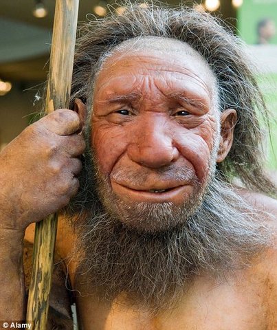 neanderthal descubrimiento