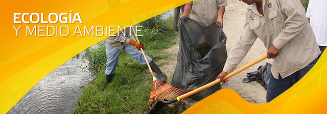 Decreto No. 46 de la LI Legislatura del Estado de México