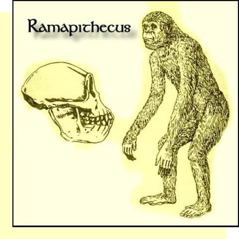 ramaphitecus