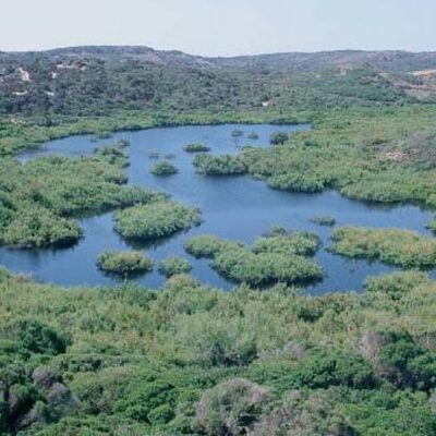 Timeline: CRONOLOGIA DE S'ALBUFERA DES GRAU
