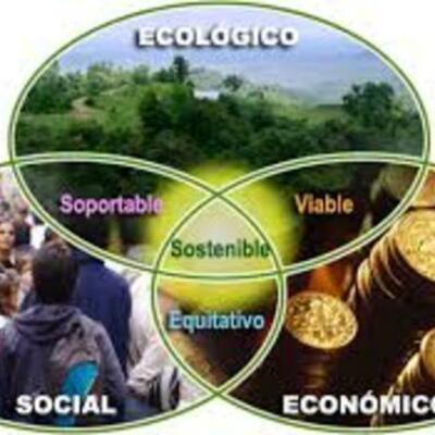 Timeline: Antecedentes  del desarrollo sustentable y la educación  ambiental