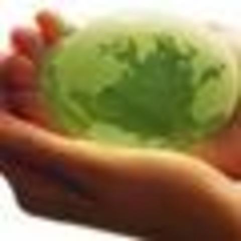 Conferencia de las Naciones Unidas sobre el Medio Humano