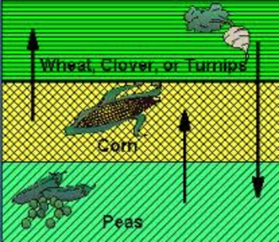 "Turnip" Townshend Develops Crop Rotations