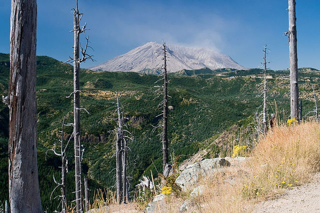Mt. St. Helens Erupts
