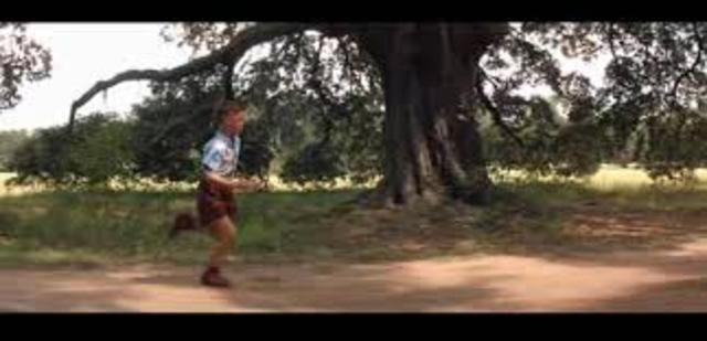 Forrest start running