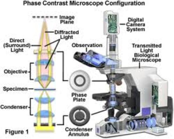 1st Phase-contrast microscope invented