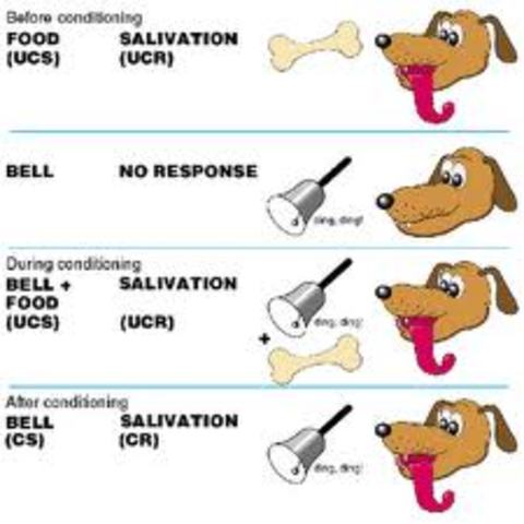 Condicionamiento clasico