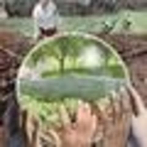 Seminario “¿es viable el Desarrollo sostenible en América Latina?: más allá del Informe Brundtland”