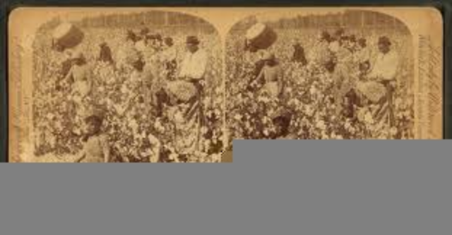 Cotton counted for half the value of all American exports after 1840