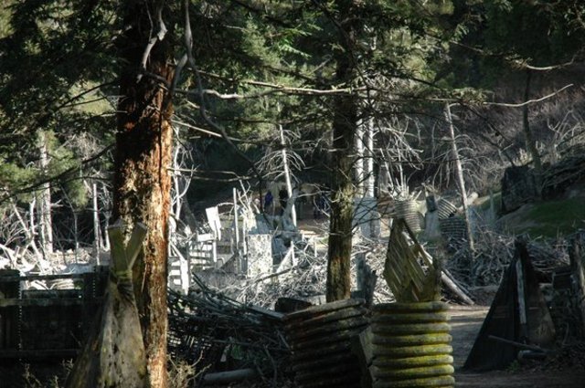 Paintball Birthday Party