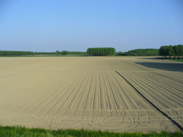 Mechanical Harvester Invented