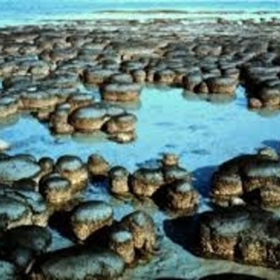 Timeline: Historia de la Tierra