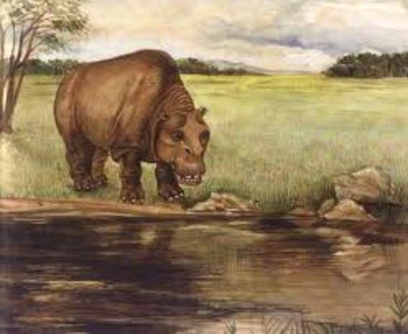 TOXODÓN PLATENSIS (SIMILAR AL HIPÓPOTAMO)