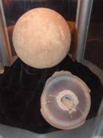 FRAGMENTOS DE CÁSCARAS DE HUEVOS DE SÁUROPODOS Y TITANOSAURIOS