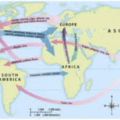 Timeline: The Columbian Exchange