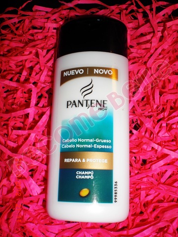 Mayor prefesionalismo