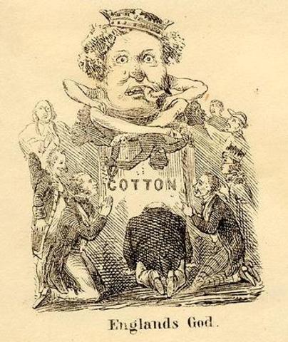 Cotton is King