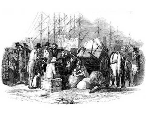 Potato Famine