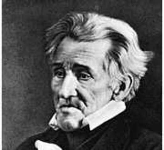 Andrew Jackson elected as President