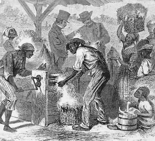 Whitney's Cotton Gin Kicks In