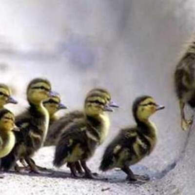 Timeline: Cómo superar la perdida de empleo