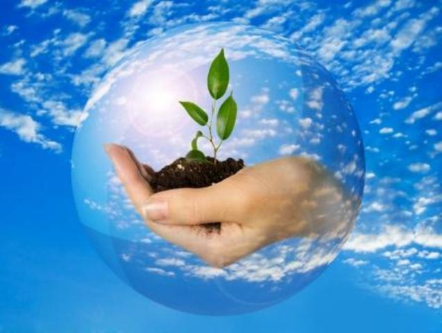 Decreto de instrucción a la Secretaría de Educación Pública