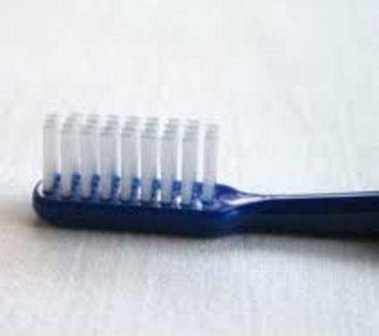 Nylon bristle toothbrush formed