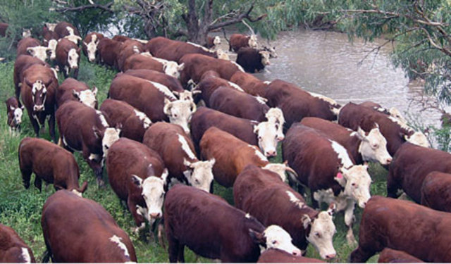 John Brown has life changing memory