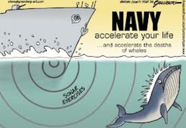 Winter v. Natural Resources Defense Council