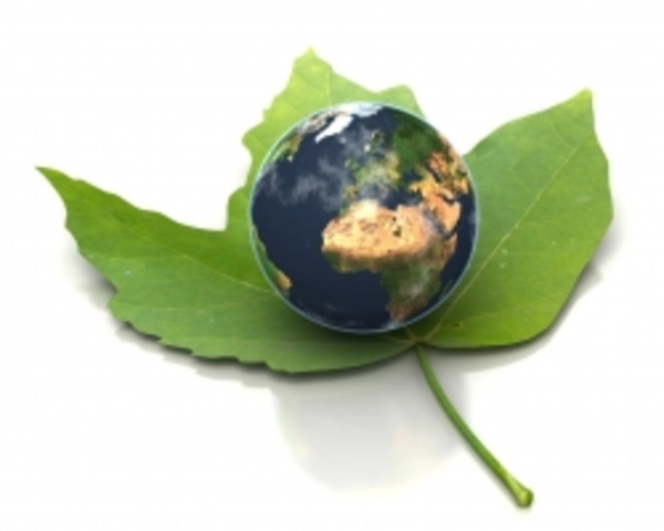 The National Enviromental Policy Act of 1970: