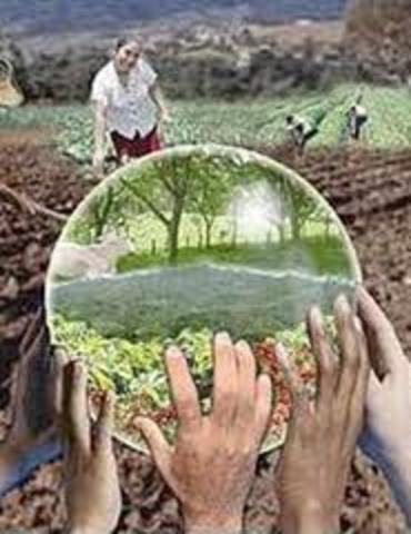 Seminario “¿es viable el Desarrollo sostenible en América Latina?: más allá del Informe Brundtland”