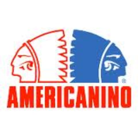 Atica de Medellín obtiene el Lápiz de Acero (Impresos) con el catálogo de Americanino.