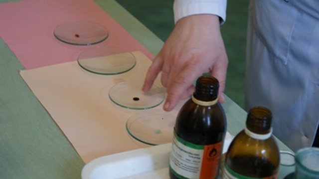 Napięcie powierzchniowe i siły międzycząsteczkowe.