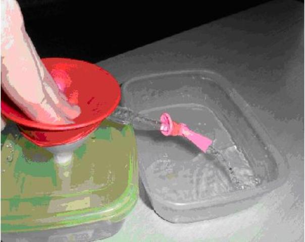 Organizm człowieka.