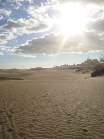 Escaping the monotony I went alone to the Canaries