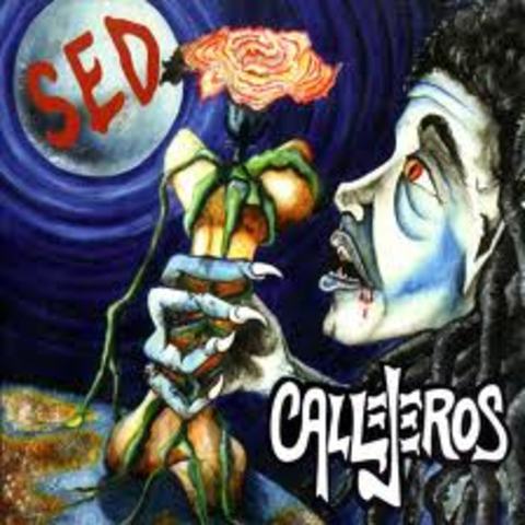 Primer disco de estudio: "Sed"